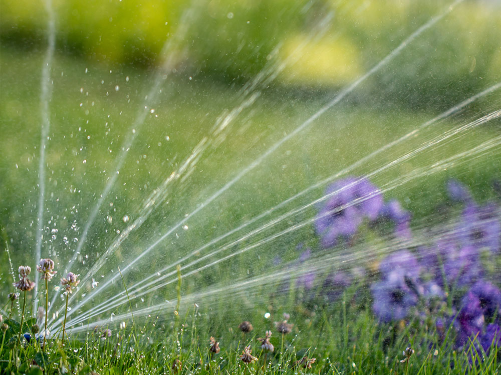 Thank You Future Green Irrigation Calgary